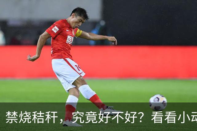 禁烧秸秆，究竟好不好？看看小动物们怎么说！